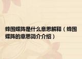 蜂围蝶阵是什么意思解释（蜂围蝶阵的意思简介介绍）