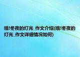 哦!冬夜的灯光_作文介绍(哦!冬夜的灯光_作文详细情况如何)