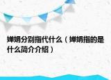 婵娟分别指代什么（婵娟指的是什么简介介绍）