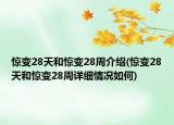 惊变28天和惊变28周介绍(惊变28天和惊变28周详细情况如何)