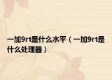 一加9rt是什么水平（一加9rt是什么处理器）