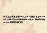 这个混血小孩是谁啊(求名字  韩国的不是mason介绍 这个混血小孩是谁啊 求名字  韩国的不是mason详细情况如何)