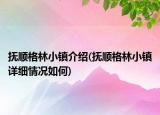 抚顺格林小镇介绍(抚顺格林小镇详细情况如何)