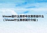 blouse是什么意思中文意思是什么（blouse什么意思简介介绍）