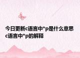 今日更新c语言中*p是什么意思 c语言中*p的解释