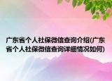 广东省个人社保微信查询介绍(广东省个人社保微信查询详细情况如何)