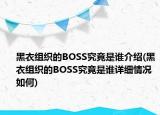 黑衣组织的BOSS究竟是谁介绍(黑衣组织的BOSS究竟是谁详细情况如何)