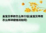 金宝贝早教怎么样介绍(金宝贝早教怎么样详细情况如何)