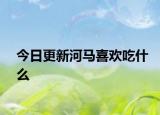 今日更新河马喜欢吃什么