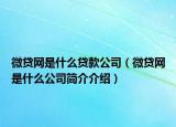 微贷网是什么贷款公司（微贷网是什么公司简介介绍）