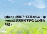 iphone x黑屏了打不开怎么办（iphonex突然黑屏打不开怎么办简介介绍）