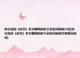 林忆莲的《依然》英文翻唱的歌手及歌词谢谢介绍(林忆莲的《依然》英文翻唱的歌手及歌词谢谢详细情况如何)