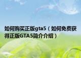 如何购买正版gta5（如何免费获得正版GTA5简介介绍）