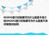002042是只好股票可为什么就是不涨介绍(002042是只好股票可为什么就是不涨详细情况如何)