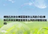 傅抱石外孙女傅蕾蕾是怎么死的介绍(傅抱石外孙女傅蕾蕾是怎么死的详细情况如何)