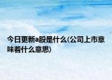 今日更新a股是什么(公司上市意味着什么意思)