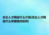 北仑人才网是什么介绍(北仑人才网是什么详细情况如何)