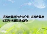 描写大草原的诗句介绍(描写大草原的诗句详细情况如何)