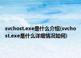svchost.exe是什么介绍(svchost.exe是什么详细情况如何)
