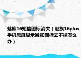 魅族16短信图标消失（魅族16plus手机息屏显示通知图标去不掉怎么办）