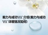 毅力与成功\