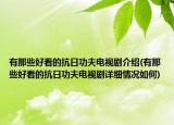 有那些好看的抗日功夫电视剧介绍(有那些好看的抗日功夫电视剧详细情况如何)