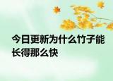 今日更新为什么竹子能长得那么快