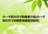 小一寸照片尺寸和像素介绍(小一寸照片尺寸和像素详细情况如何)