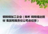 铜陵铜加工企业（陈彬 铜陵精达铜材 集团有限责任公司总经理）