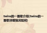 twins的一首歌介绍(twins的一首歌详细情况如何)