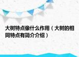 大树特点像什么作用（大树的相同特点有简介介绍）