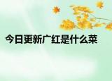 今日更新广红是什么菜