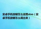安卓手机按键怎么设置vivo（安卓手机按键怎么调出来）