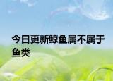 今日更新鲸鱼属不属于鱼类