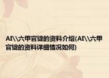 AI\六甲官锭的资料介绍(AI\六甲官锭的资料详细情况如何)