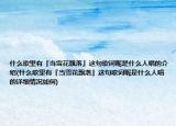 什么歌里有『当雪花飘落』这句歌词呢是什么人唱的介绍(什么歌里有『当雪花飘落』这句歌词呢是什么人唱的详细情况如何)