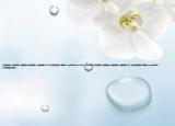 《进贡娘娘+承欢娘娘+召聘娘娘+献身娘娘》无删减版TXT(可以发给我吗? 邮箱zhucy0529163.com介绍 《进贡娘娘+承欢娘娘+召聘娘娘+献身娘娘》无删减版TXT 可以发给我吗? 邮箱zhucy0529163.com详细情况如何)