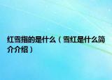 红雪指的是什么（雪红是什么简介介绍）
