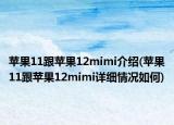苹果11跟苹果12mimi介绍(苹果11跟苹果12mimi详细情况如何)