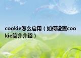cookie怎么启用（如何设置cookie简介介绍）