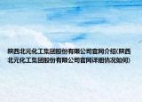 陕西北元化工集团股份有限公司官网介绍(陕西北元化工集团股份有限公司官网详细情况如何)