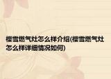 樱雪燃气灶怎么样介绍(樱雪燃气灶怎么样详细情况如何)