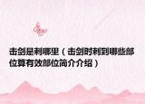 击剑是刺哪里（击剑时刺到哪些部位算有效部位简介介绍）