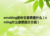 smoking的中文意思是什么（sming什么意思简介介绍）