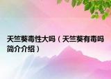天竺葵毒性大吗（天竺葵有毒吗简介介绍）