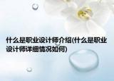 什么是职业设计师介绍(什么是职业设计师详细情况如何)