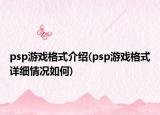 psp游戏格式介绍(psp游戏格式详细情况如何)