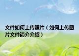 文件如何上传照片（如何上传图片文件简介介绍）