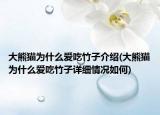 大熊猫为什么爱吃竹子介绍(大熊猫为什么爱吃竹子详细情况如何)