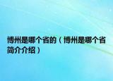 博州是哪个省的（博州是哪个省简介介绍）